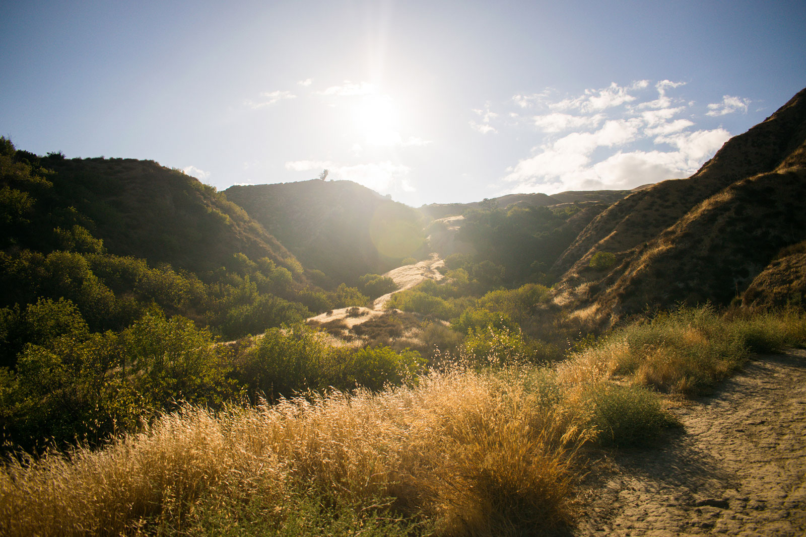 Hillside outdoor recreation area near Granada Hills